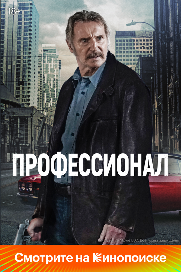 Профессионал постер
